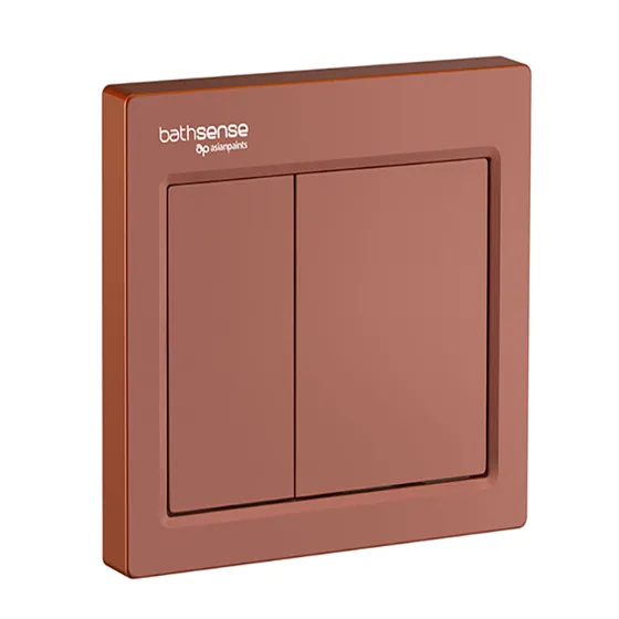 Asian Paints BathSense Mechanical Concealed Cistern