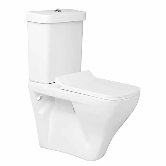 Asian Paints BathSense Coupled Closet