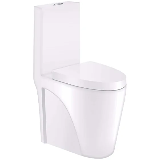 Asian Paints BathSense One piece closet
