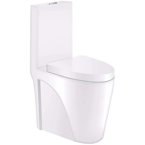 Asian Paints BathSense One piece closet