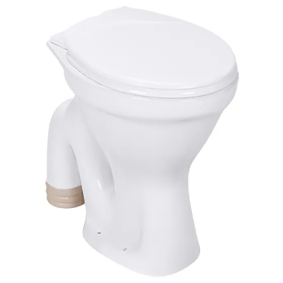 Asian Paints BathSense European Water Closet