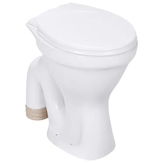 Asian Paints BathSense European Water Closet