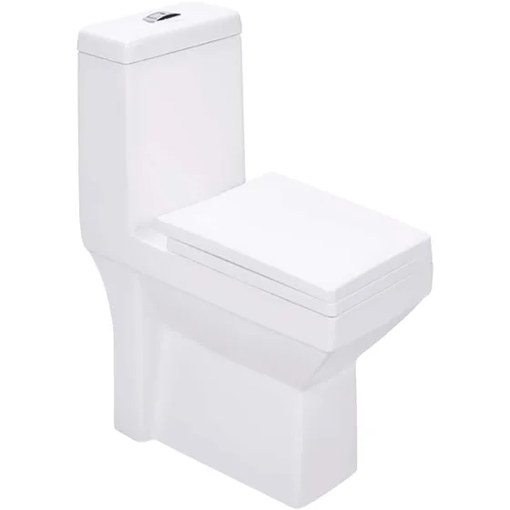 Asian Paints BathSense One piece closet