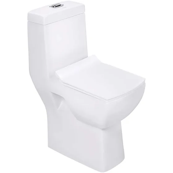 Asian Paints BathSense One piece closet