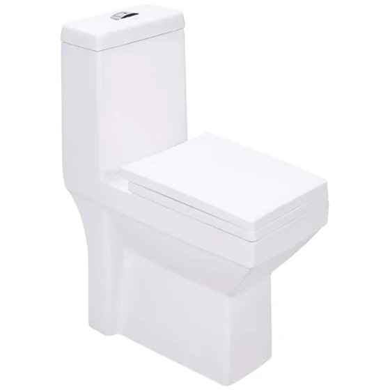Asian Paints BathSense One piece closet