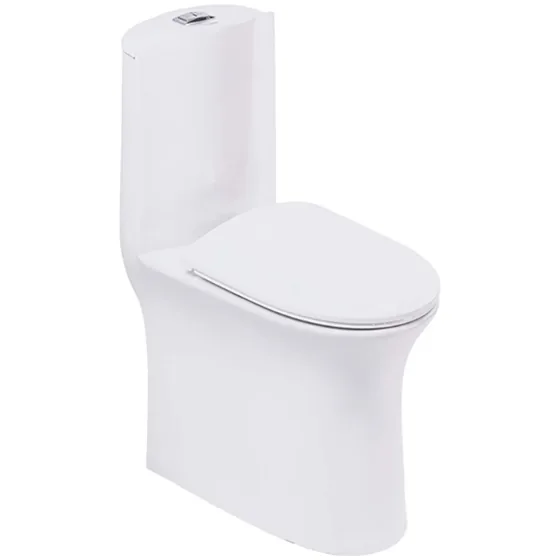 Asian Paints BathSense One piece closet