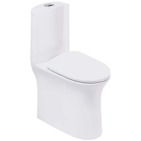 Asian Paints BathSense One piece closet