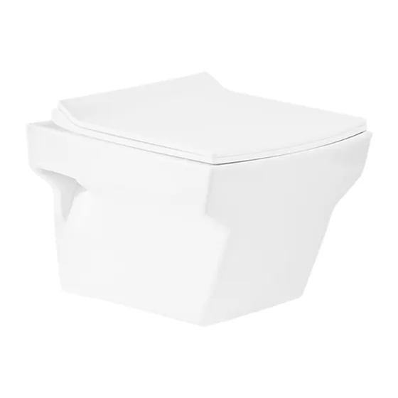 Asian Paints BathSense Wall Hung with UF seat cover