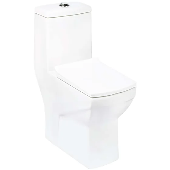 Asian Paints BathSense One piece closet