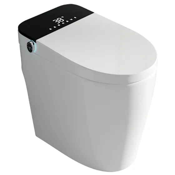Asian Paints BathSense Neocontrol water closet