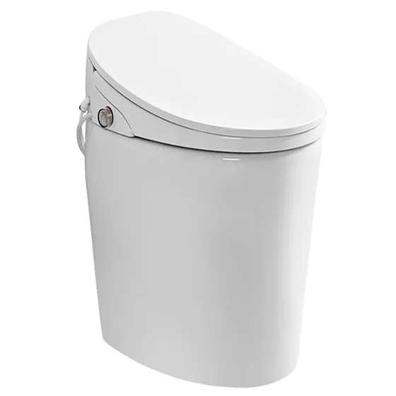 Asian Paints BathSense Neocontrol water closet
