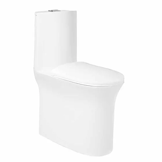 Asian Paints BathSense One piece closet