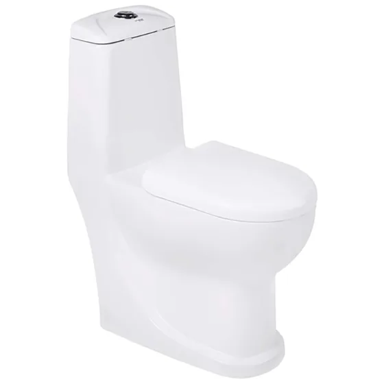 Asian Paints BathSense One piece closet