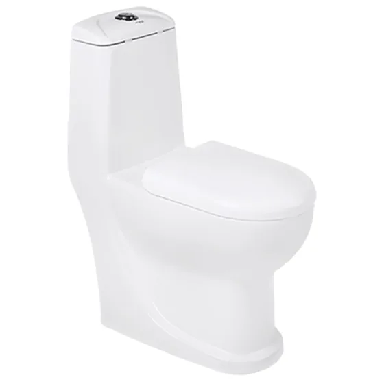 Asian Paints BathSense One piece closet