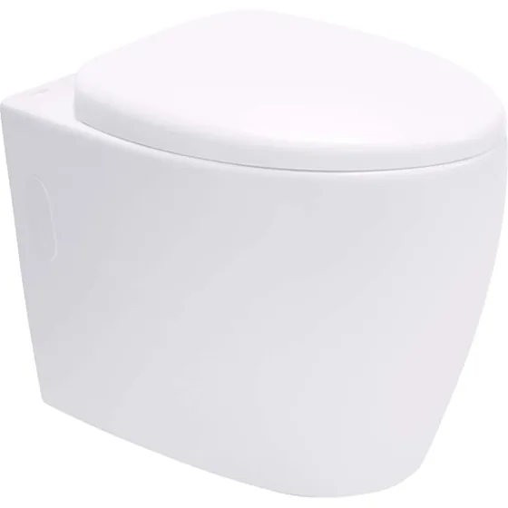 Asian Paints BathSense Wall hung closet