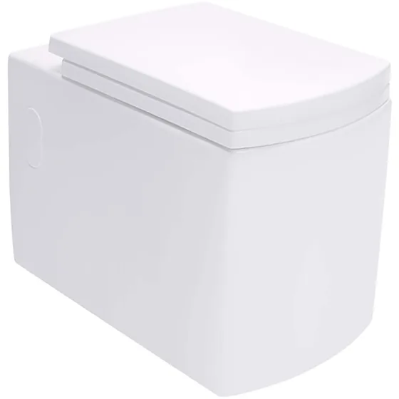 Asian Paints BathSense Wall hung closet