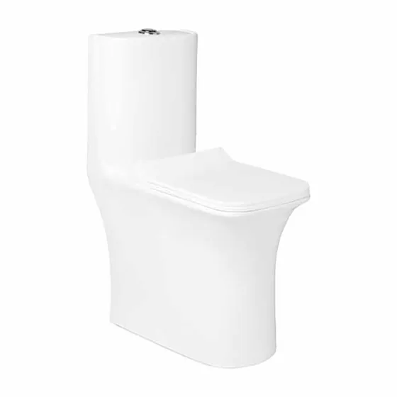 Asian Paints BathSense One piece closet