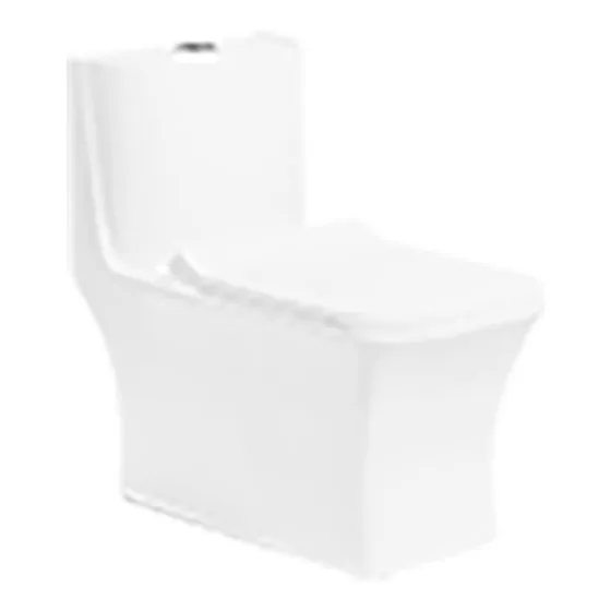 Asian Paints BathSense One piece closet