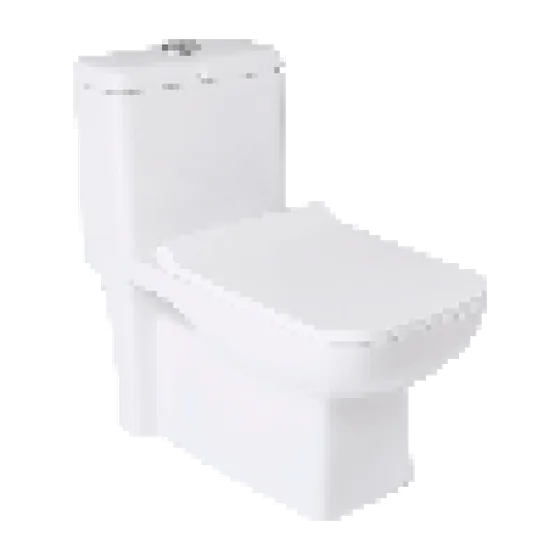 Asian Paints BathSense One Piece with UF seat cover