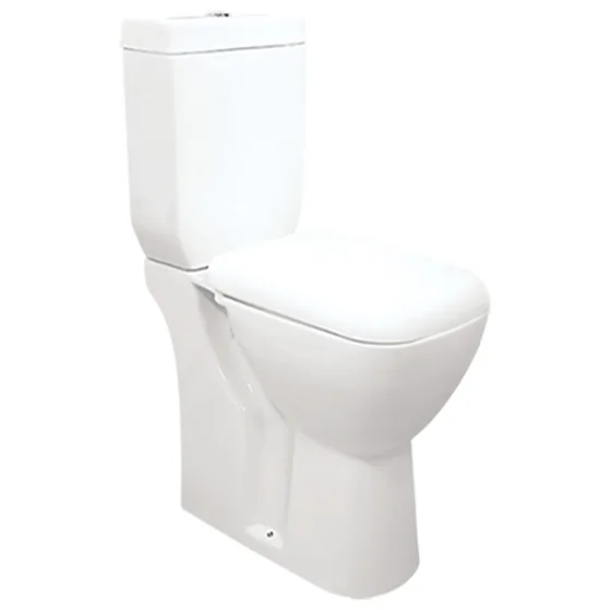 Asian Paints BathSense Coupled Closet