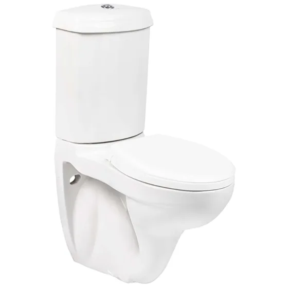 Asian Paints BathSense Coupled Closet