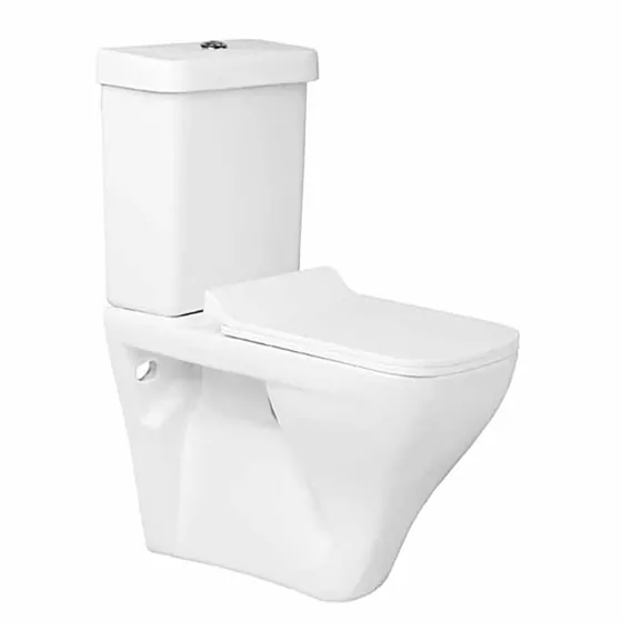 Asian Paints BathSense Coupled Closet