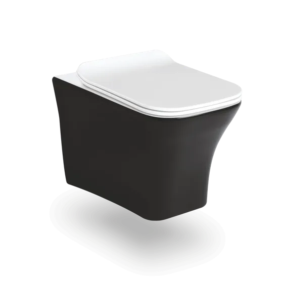 Sonet commander Black & White