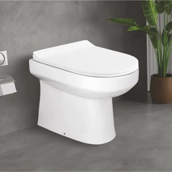 Sonet Octavia EWC S