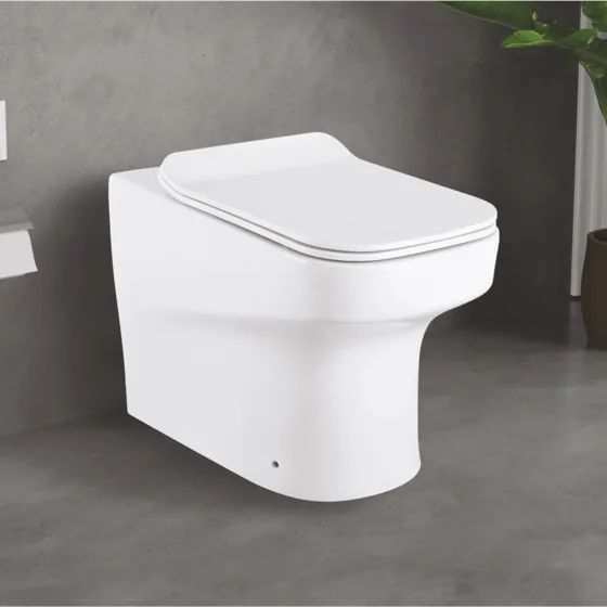 Sonet Specto EWC S