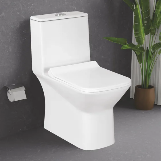 Sonet Nexus 1122 S